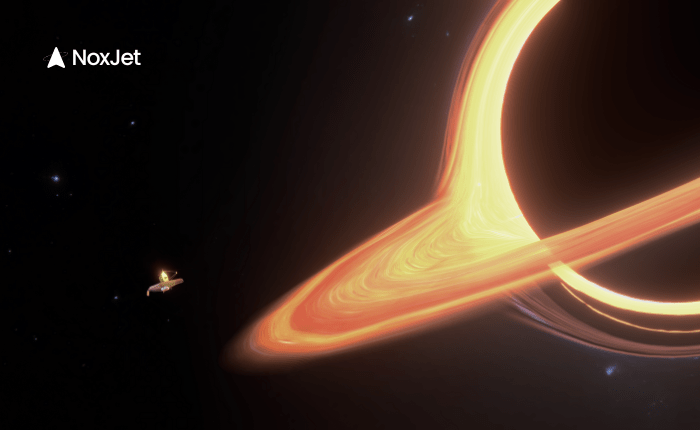 Black Holes